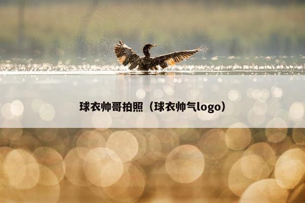 球衣帅哥拍照（球衣帅气logo）