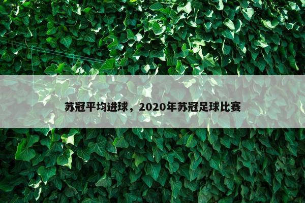 苏冠平均进球，2020年苏冠足球比赛
