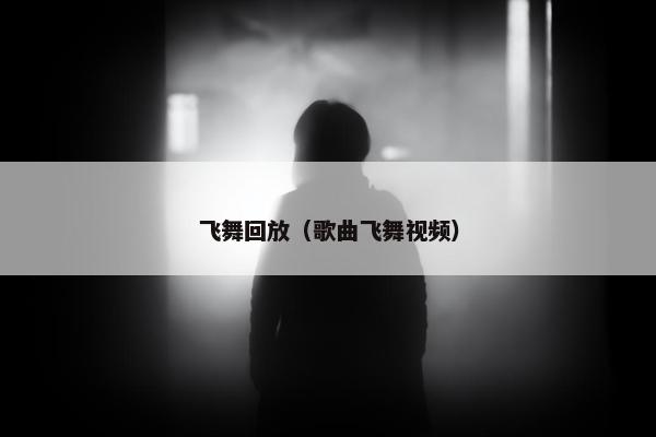 飞舞回放（歌曲飞舞视频）