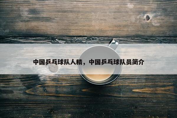 中国乒乓球队人精，中国乒乓球队员简介