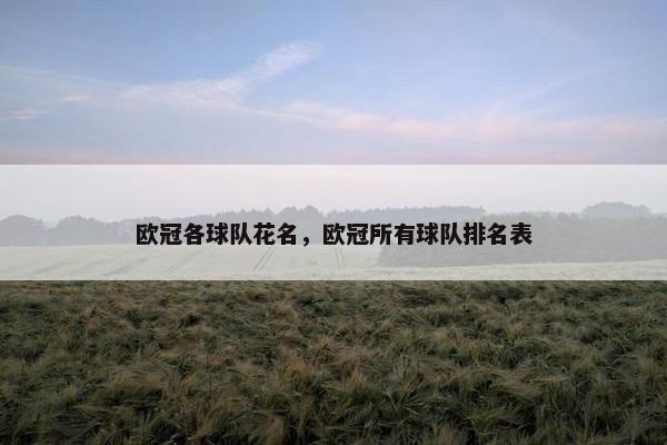 欧冠各球队花名，欧冠所有球队排名表