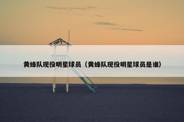 黄蜂队现役明星球员（黄蜂队现役明星球员是谁）