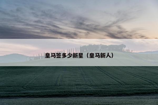 皇马签多少新星（皇马新人）