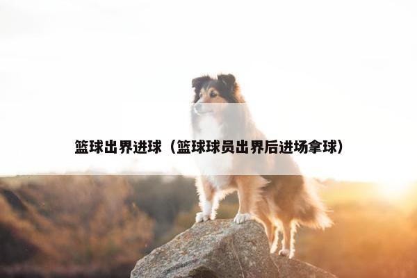 篮球出界进球（篮球球员出界后进场拿球）