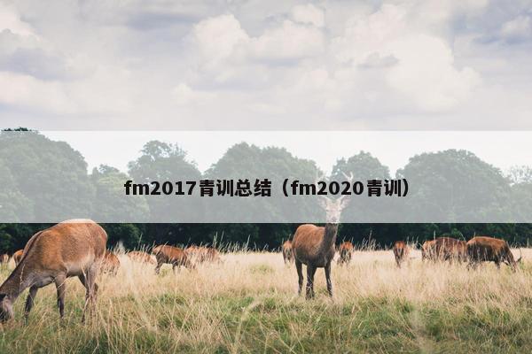 fm2017青训总结（fm2020青训）