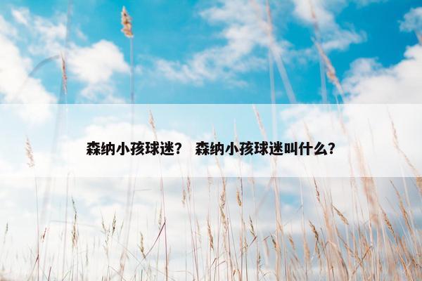 森纳小孩球迷？ 森纳小孩球迷叫什么？