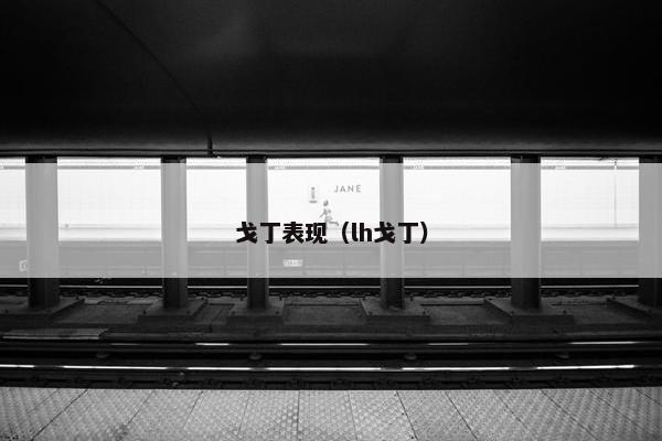 戈丁表现（lh戈丁）