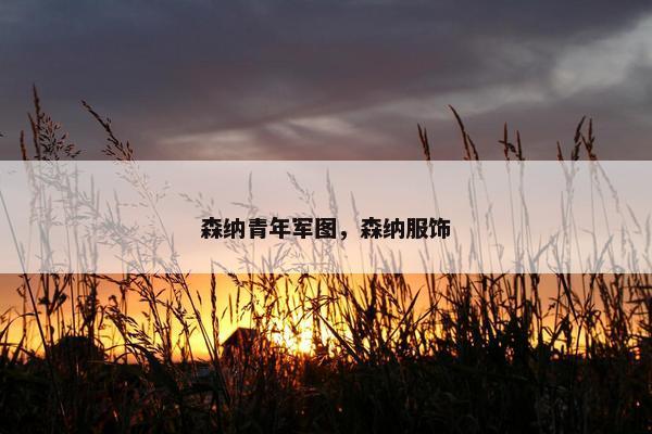森纳青年军图，森纳服饰