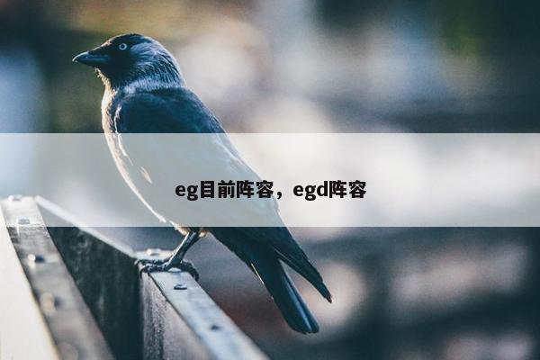 eg目前阵容，egd阵容
