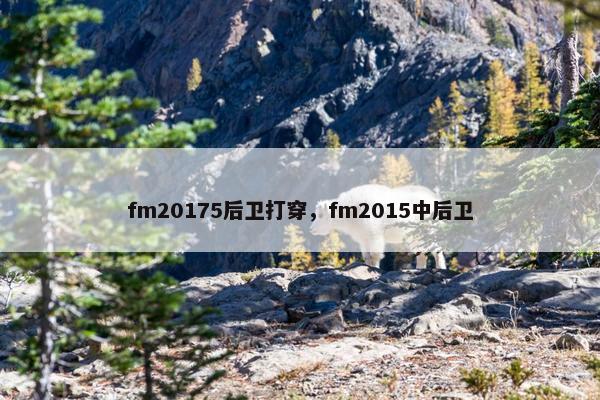 fm20175后卫打穿，fm2015中后卫
