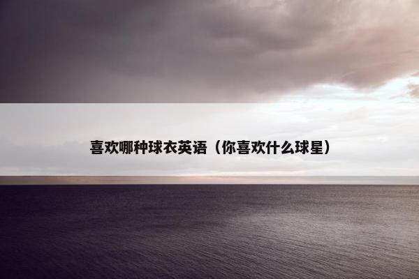 喜欢哪种球衣英语（你喜欢什么球星）