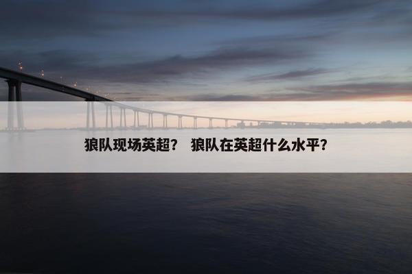 狼队现场英超？ 狼队在英超什么水平？