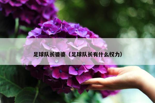 足球队长婆婆(足球队长有什么权力) 足球队长婆婆(足球队长有什么权力)
