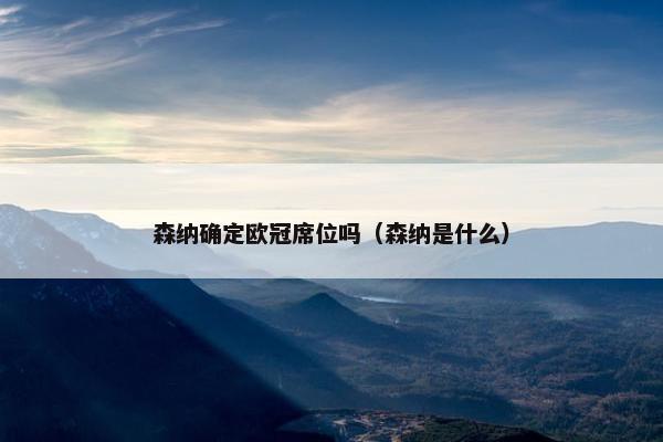 森纳确定欧冠席位吗（森纳是什么）