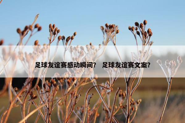 足球友谊赛感动瞬间？ 足球友谊赛文案？