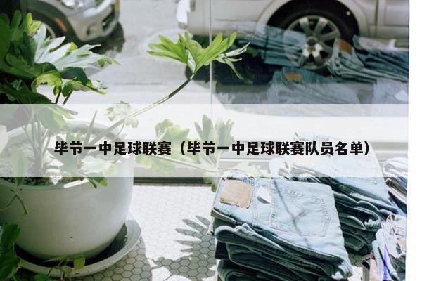 毕节一中足球联赛（毕节一中足球联赛队员名单）