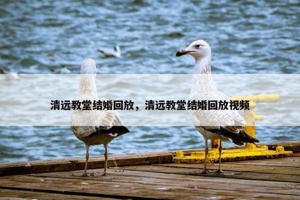 清远教堂结婚回放，清远教堂结婚回放视频