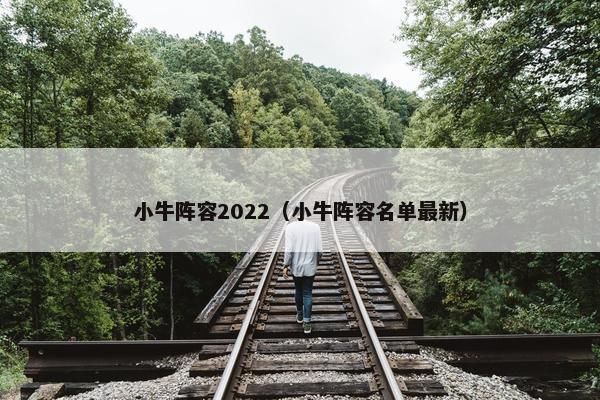 小牛阵容2022（小牛阵容名单最新）