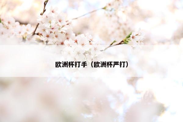 欧洲杯打手（欧洲杯严打）