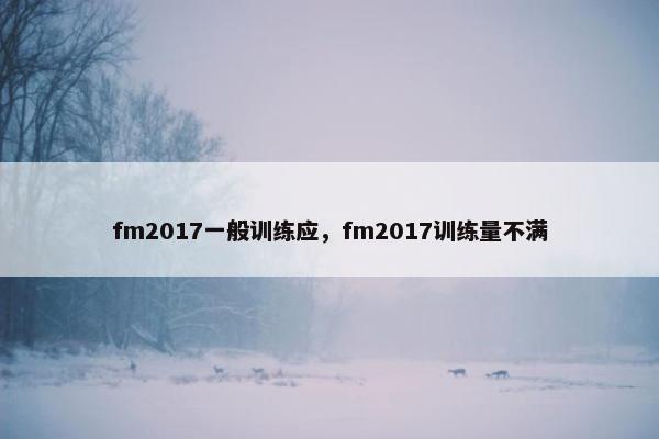 fm2017一般训练应，fm2017训练量不满