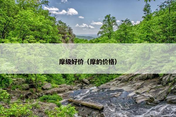 摩级好价（摩的价格）