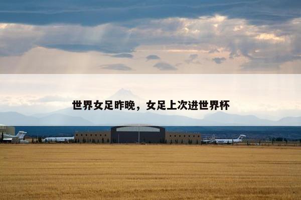世界女足昨晚，女足上次进世界杯