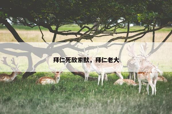 拜仁死敌索默，拜仁老大