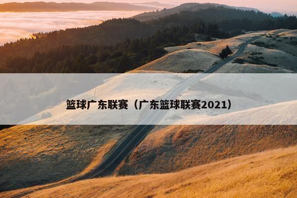 篮球广东联赛（广东篮球联赛2021）