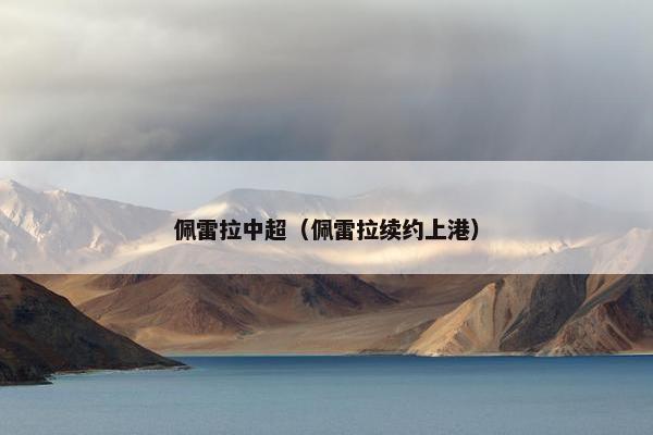 佩雷拉中超（佩雷拉续约上港）