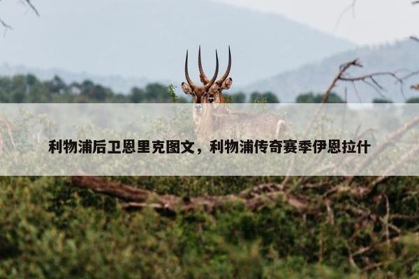 利物浦后卫恩里克图文，利物浦传奇赛季伊恩拉什