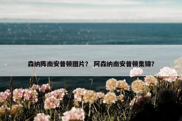 森纳阵南安普顿图片? 阿森纳南安普顿集锦? 森纳阵南安普顿图片? 阿森纳南安普顿集锦?