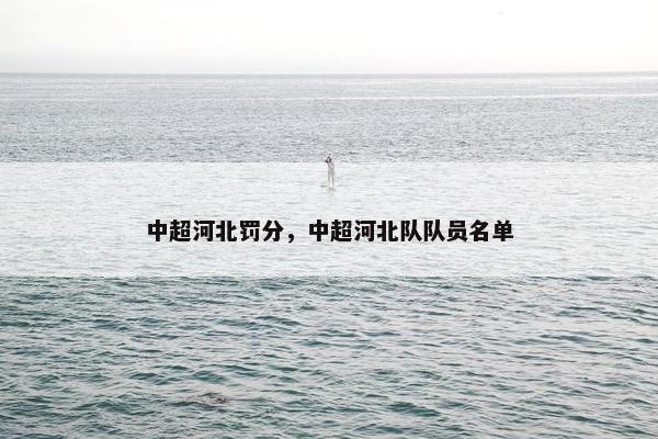 中超河北罚分，中超河北队队员名单