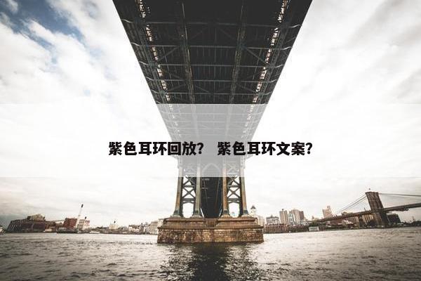 紫色耳环回放？ 紫色耳环文案？