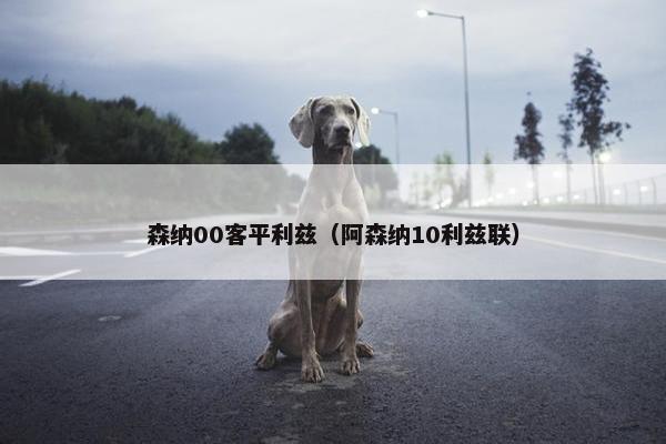 森纳00客平利兹(阿森纳10利兹联) 森纳00客平利兹(阿森纳10利兹联)