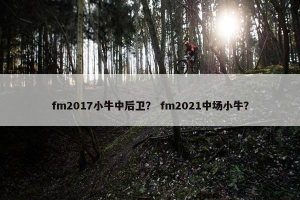 fm2017小牛中后卫? fm2021中场小牛? fm2017小牛中后卫? fm2021中场小牛?