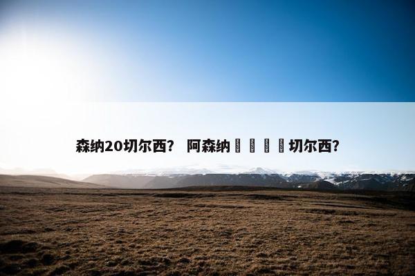 森纳20切尔西？ 阿森纳🆚切尔西？