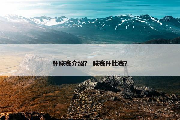 杯联赛介绍？ 联赛杯比赛？
