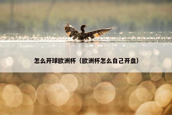 怎么开球欧洲杯(欧洲杯怎么自己开盘) 怎么开球欧洲杯(欧洲杯怎么自己开盘)