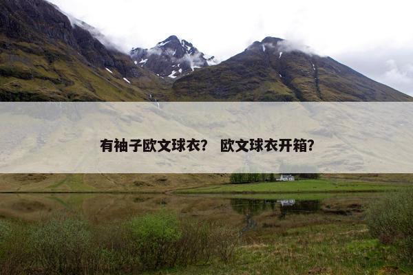 有袖子欧文球衣? 欧文球衣开箱? 有袖子欧文球衣? 欧文球衣开箱?