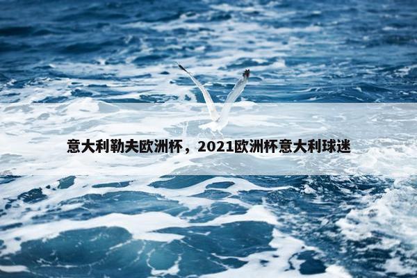 意大利勒夫欧洲杯，2021欧洲杯意大利球迷