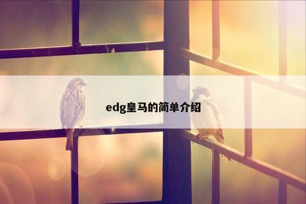 edg皇马的简单介绍