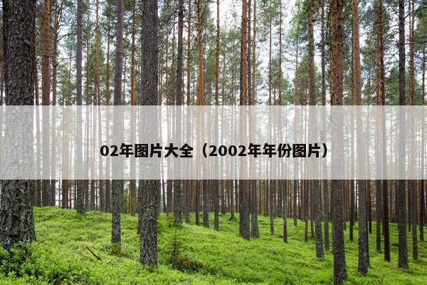 02年图片大全(2002年年份图片) 02年图片大全(2002年年份图片)