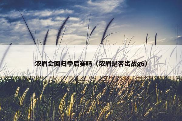 浓眉会回归季后赛吗（浓眉是否出战g6）