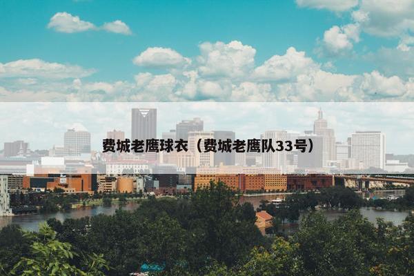 费城老鹰球衣(费城老鹰队33号) 费城老鹰球衣(费城老鹰队33号)