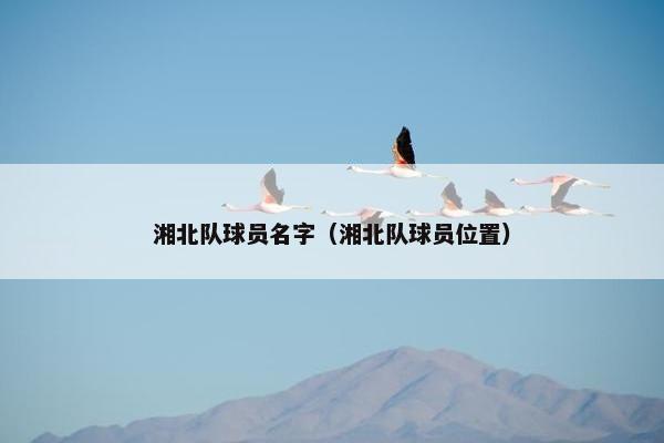 湘北队球员名字（湘北队球员位置）
