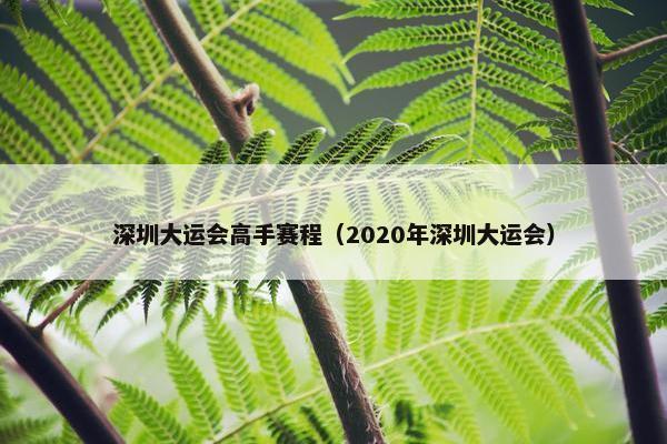 深圳大运会高手赛程（2020年深圳大运会）