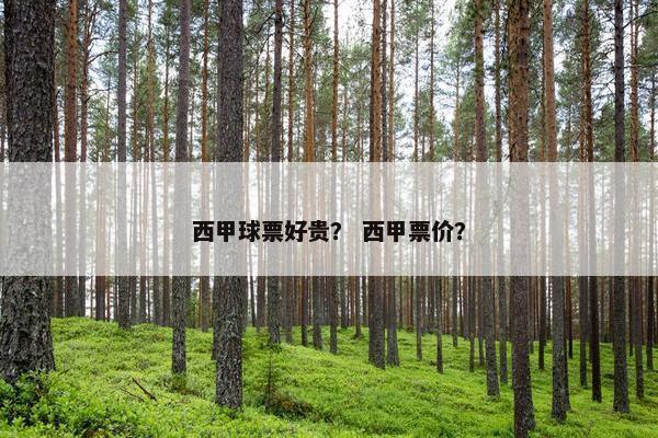 西甲球票好贵? 西甲票价? 西甲球票好贵? 西甲票价?
