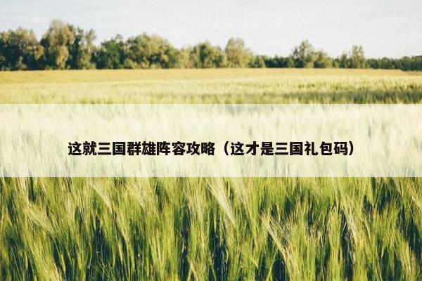 这就三国群雄阵容攻略(这才是三国礼包码) 这就三国群雄阵容攻略(这才是三国礼包码)