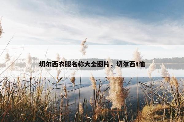 切尔西衣服名称大全图片,切尔西t恤 切尔西衣服名称大全图片,切尔西t恤