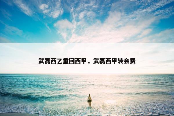 武磊西乙重回西甲,武磊西甲转会费 武磊西乙重回西甲,武磊西甲转会费